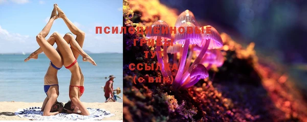 сатива Струнино