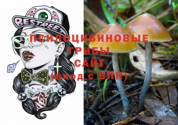 ешки Строитель